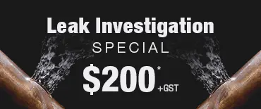 Leak Investigation Discount Titirangi