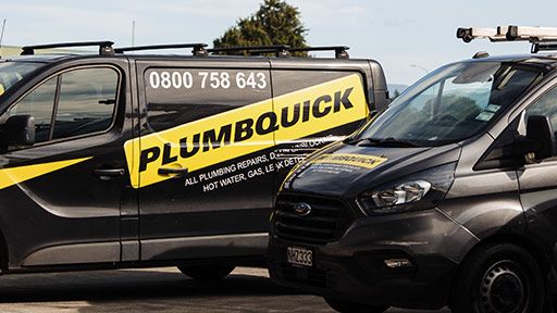 Professional Titirangi Plumbers